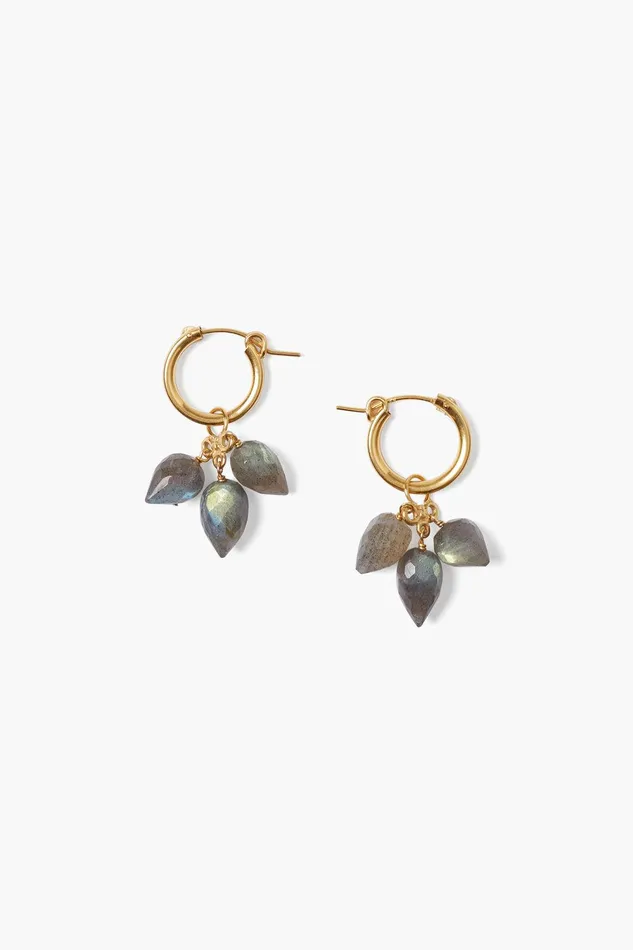 Delphine Hoop Earrings Labradorite Women Chan Luu Earrings
