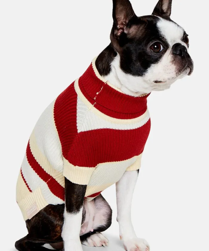 Dog Knit 8211 Brick Red Accessories Ilse Jacobsen Vov and Vuf