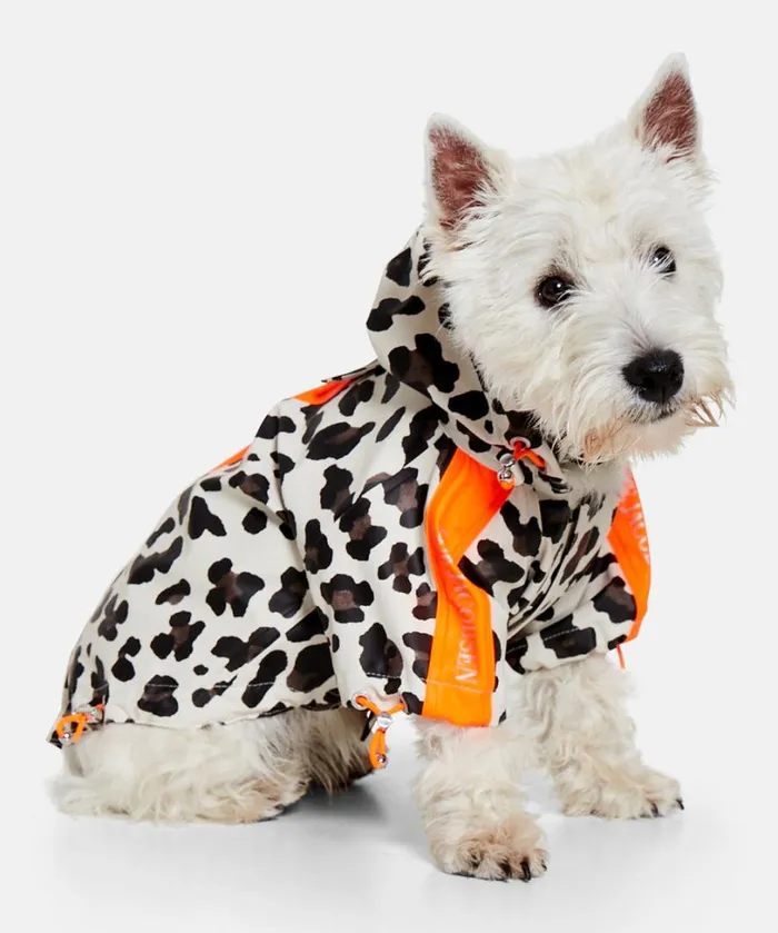 Dog Rain Cover 8211 Milk Creme Accessories Ilse Jacobsen Vov and Vuf