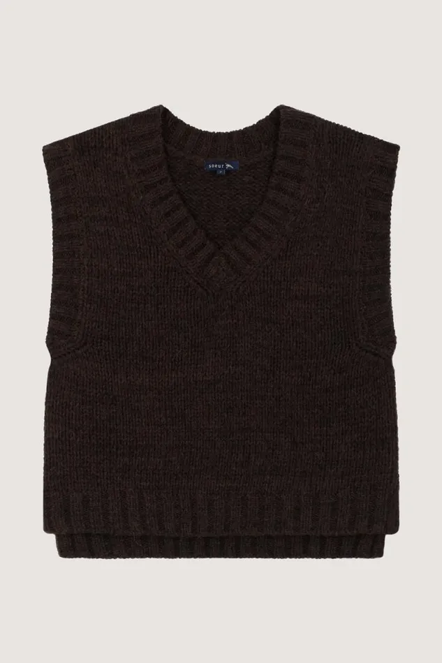 Jumpers and Cardigans Women Soeur WADE JUMPER Brown