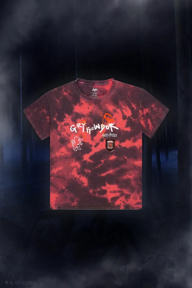 Just Hype TShirts and Vests Harry Potter X Hype Kids Red Gryffindor TShirt