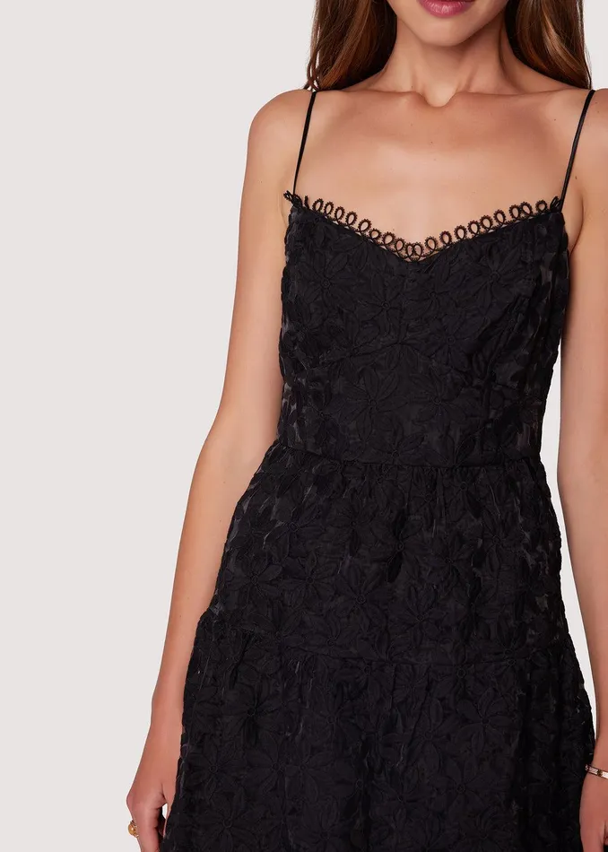 Madonna Blossom Organza Tier Midi Dress Black Women Lost Wander Dresses