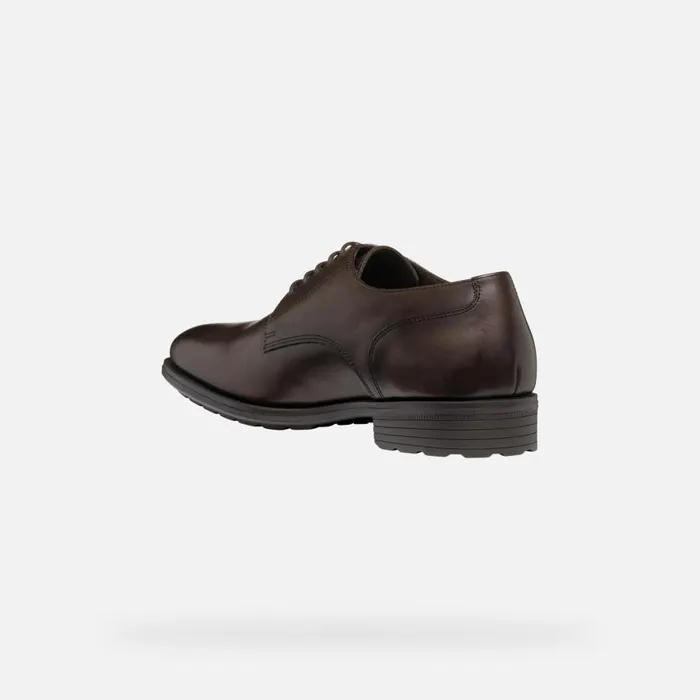 Man Geox Formal Shoes WALK PLEASURE F MAN Coffee Leather Shoes Coffee