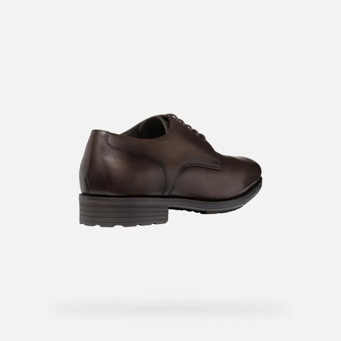 Man Geox Formal Shoes WALK PLEASURE F MAN Coffee Leather Shoes Coffee