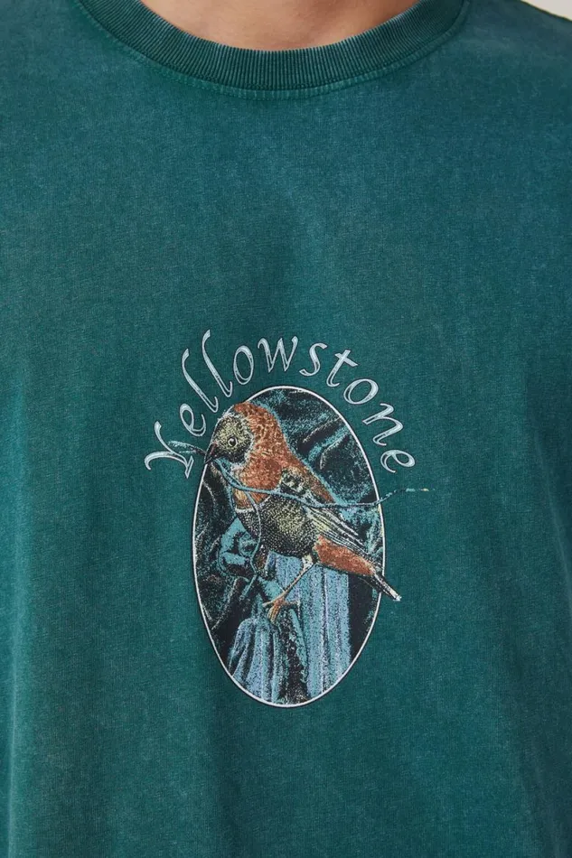 Men Graphic TShirts Cotton On Premium Loose Fit Art TShirt Evergreenyellowstone