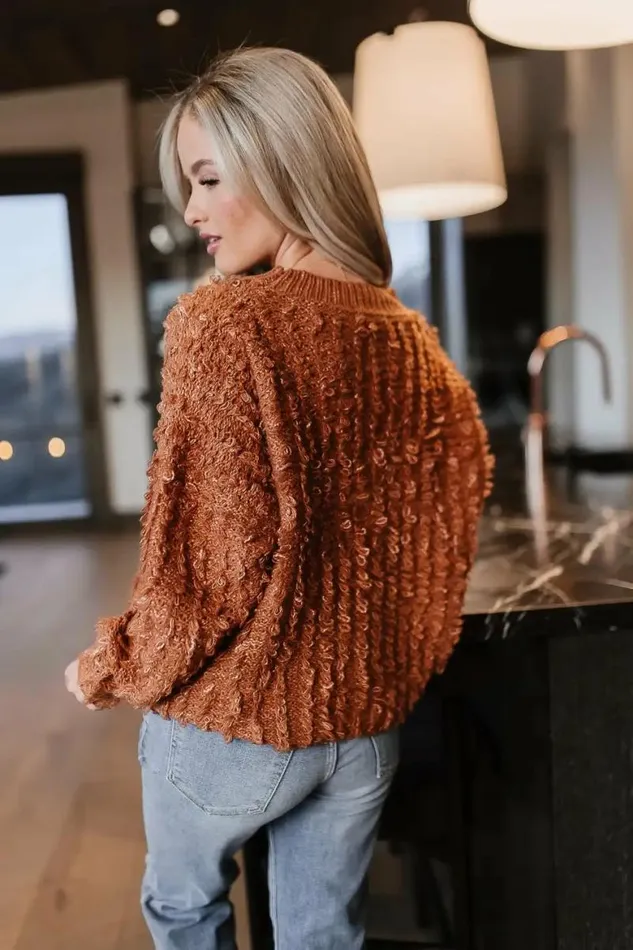 Raegan Fuzzy Sweater In Brown Brown Women Bohme Tops