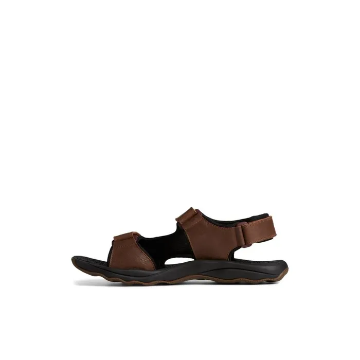 Sperry Rivington Sandal Brown Men Sandals