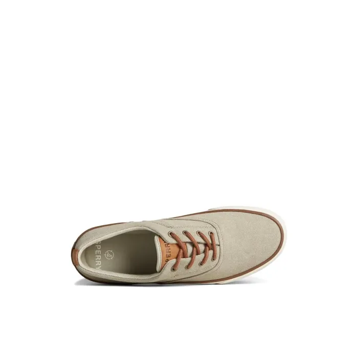 Sperry Striper II Washed Canvas CVO Sneaker Bone Men Sneakers