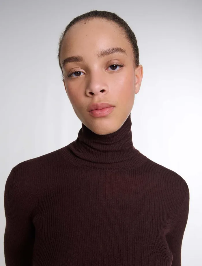 Sweaters and Cardigans Women Maje Wool And Silk Jumper Brown