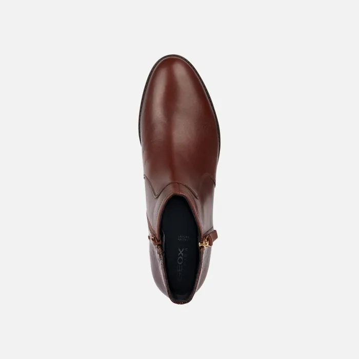 Woman Geox Ankle Boots FELICITY C Ankle Boots Chestnut Woman Geox Brown