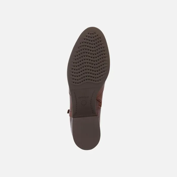 Woman Geox Ankle Boots FELICITY C Ankle Boots Chestnut Woman Geox Brown