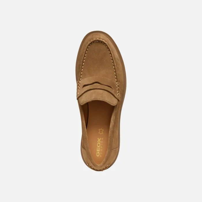 Woman Geox Loafers SPHERICA EC1 WOMAN Mud Suede Loafers Mud