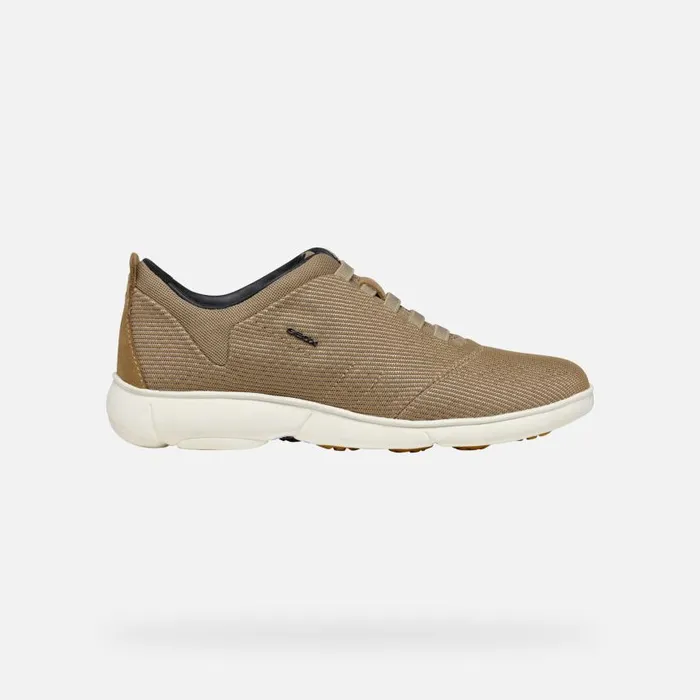 Woman Geox Sneakers NEBULA 20 WOMAN Terracotta Low Top Sneakers Terracotta
