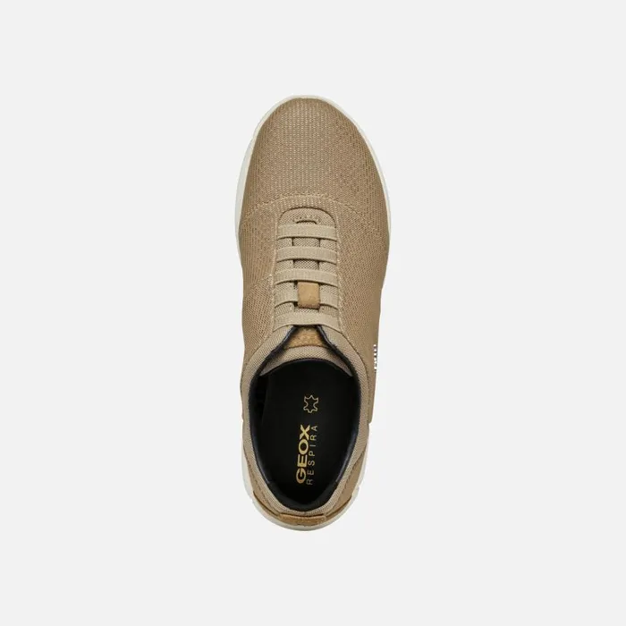 Woman Geox Sneakers NEBULA 20 WOMAN Terracotta Low Top Sneakers Terracotta