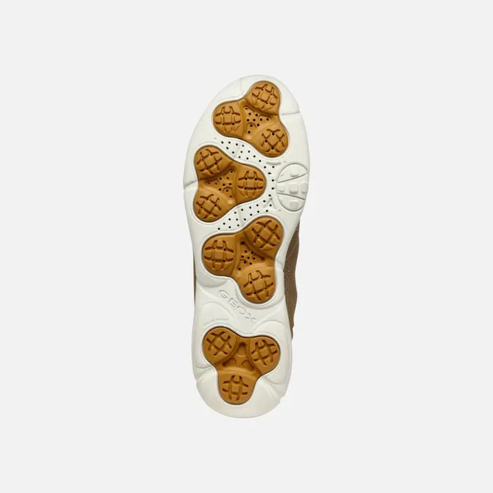 Woman Geox Sneakers NEBULA 20 WOMAN Terracotta Low Top Sneakers Terracotta