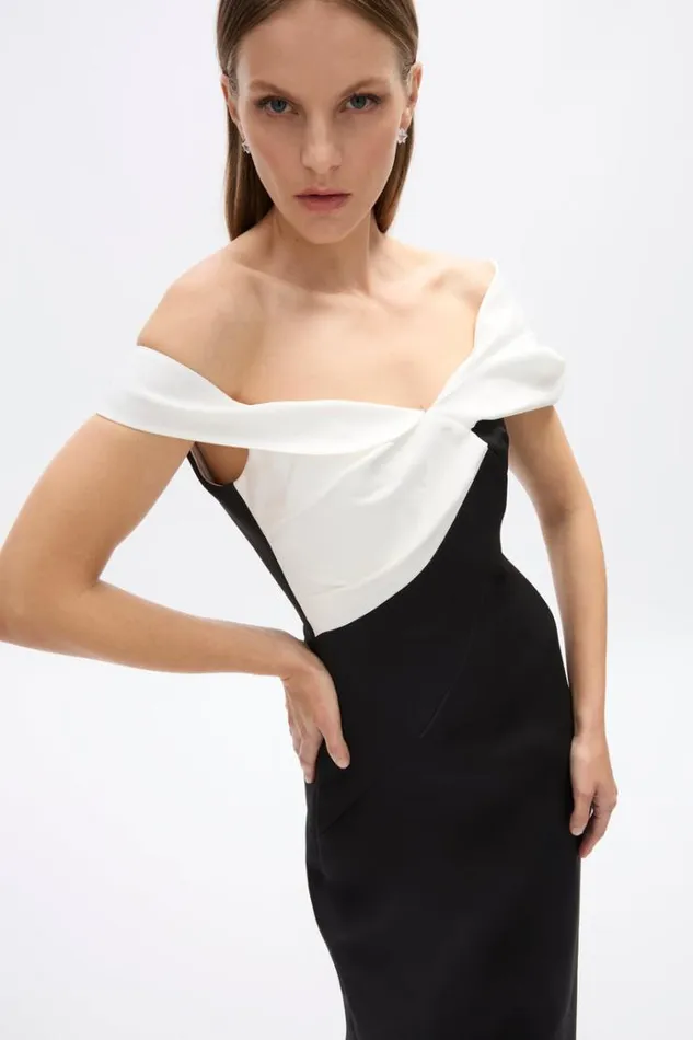 Women Black Dresses Rachel Gilbert Delila Gown BlackWhite