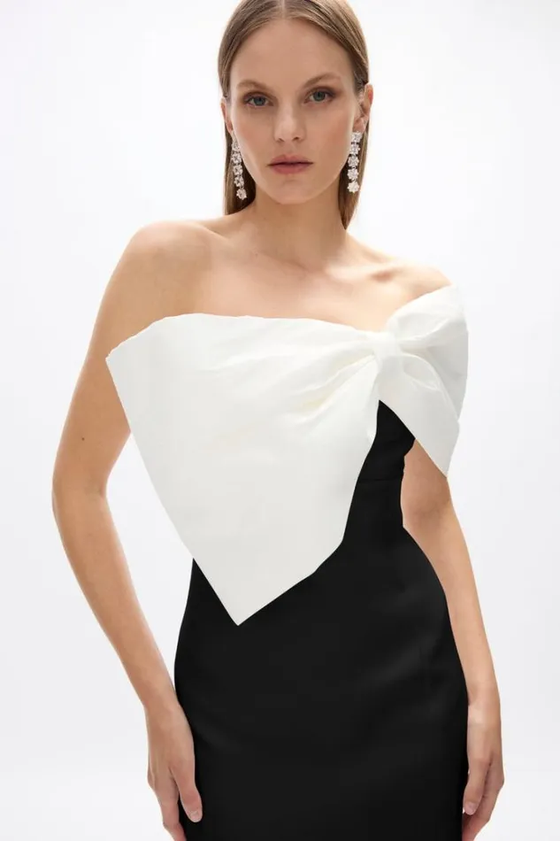 Women Black Dresses Rachel Gilbert Kace Dress In BlackIvory Women Black Dresses Rachel Gilbert Kace Dress In BlackIvory