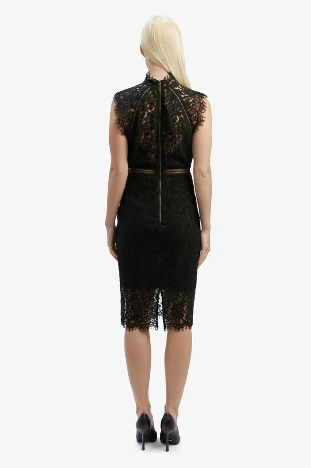 Women Occasion Dresses Bardot Lace Panel Dress In Black Black
