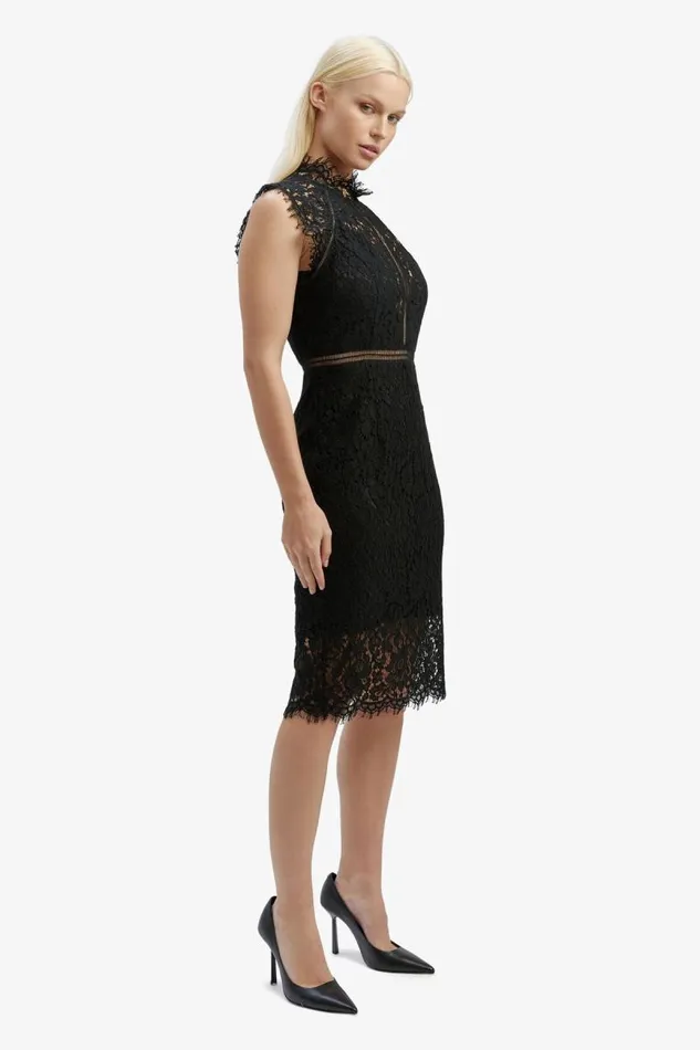 Women Occasion Dresses Bardot Lace Panel Dress In Black Black
