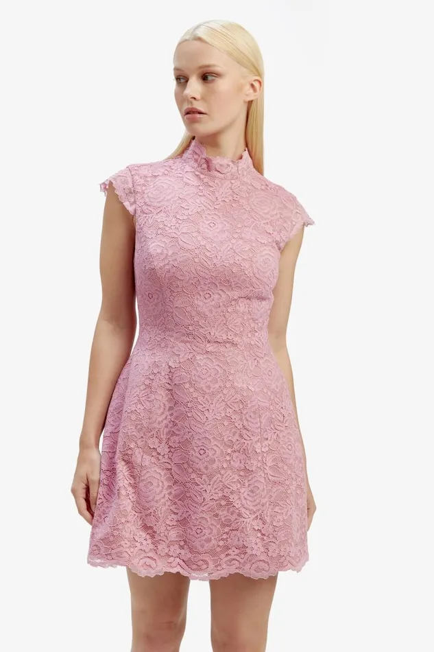 Women Party Dresses Bardot Andrea Lace Mini Dress In Dusty Pink Dusty Pink Women Party Dresses Bardot Andrea Lace Mini Dress In Dusty Pink Dusty Pink