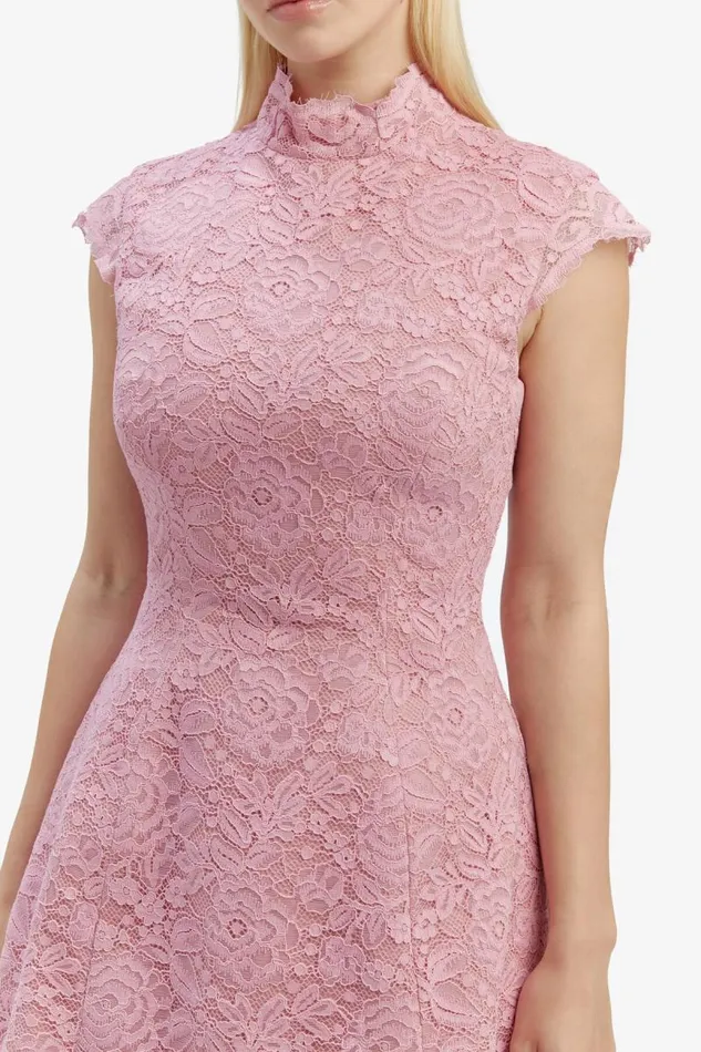 Women Party Dresses Bardot Andrea Lace Mini Dress In Dusty Pink Dusty Pink Women Party Dresses Bardot Andrea Lace Mini Dress In Dusty Pink Dusty Pink