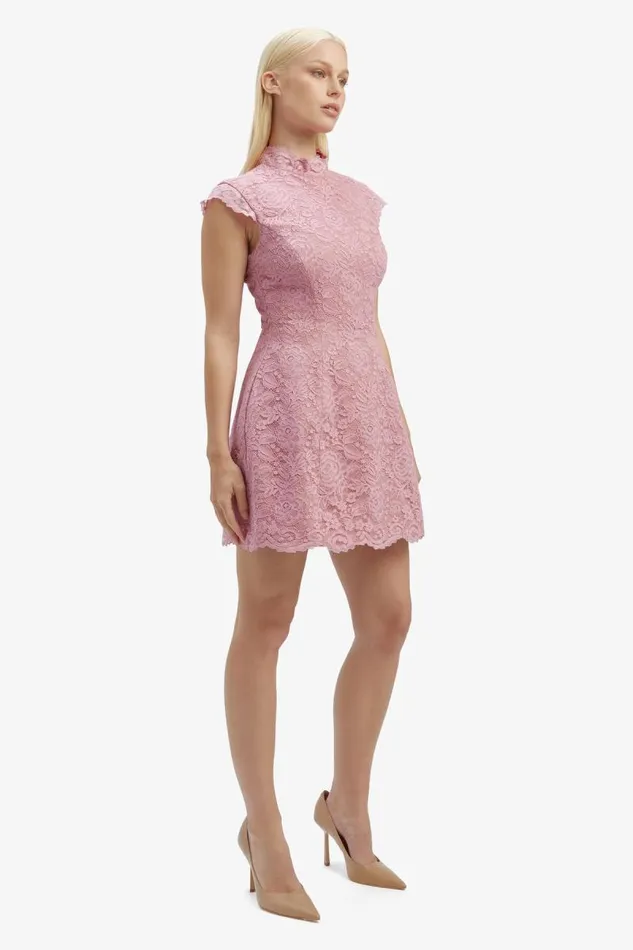 Women Party Dresses Bardot Andrea Lace Mini Dress In Dusty Pink Dusty Pink Women Party Dresses Bardot Andrea Lace Mini Dress In Dusty Pink Dusty Pink