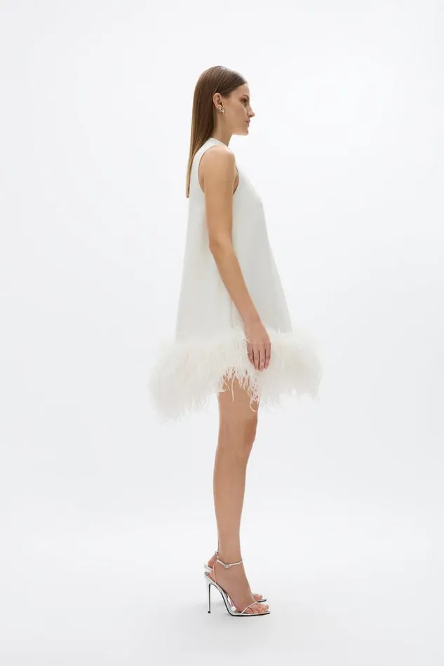 Women White Dresses Rachel Gilbert Linc Mini In Ivory